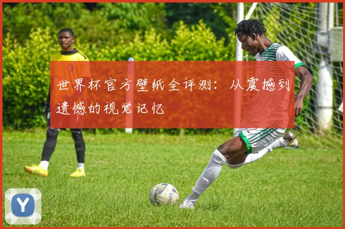 世界杯官方壁纸全评测：从震撼到遗憾的视觉记忆