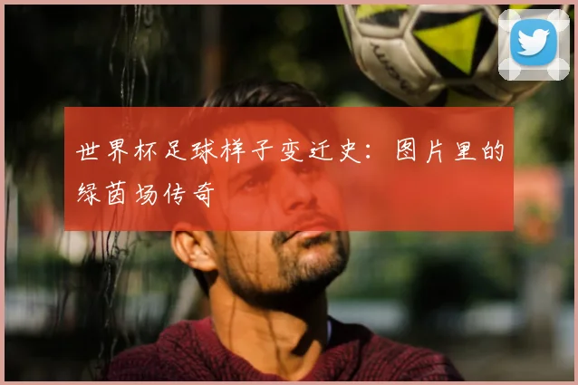 世界杯足球样子变迁史:图片里的绿茵场传奇