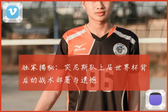 独家揭秘：突尼斯队上届世界杯背后的战术部署与遗憾