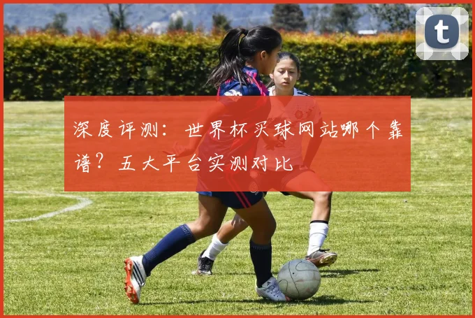 深度评测：世界杯买球网站哪个靠谱？五大平台实测对比