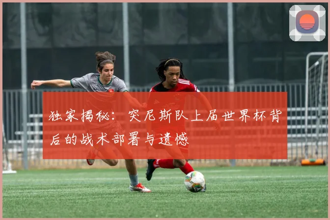 独家揭秘:突尼斯队上届世界杯背后的战术部署与遗憾
