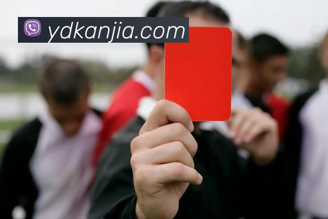 App Interface Preview