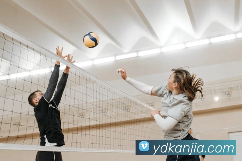 必一运动官网平台APP 封面图